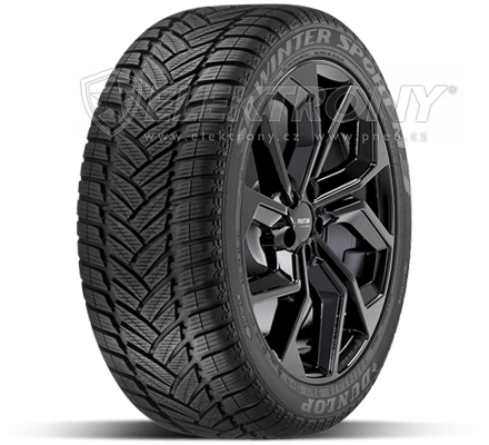 Pneumatiky Dunlop SP Winter Sport M3