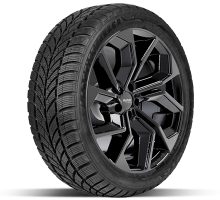 Maxxis Arctictrekker WP05