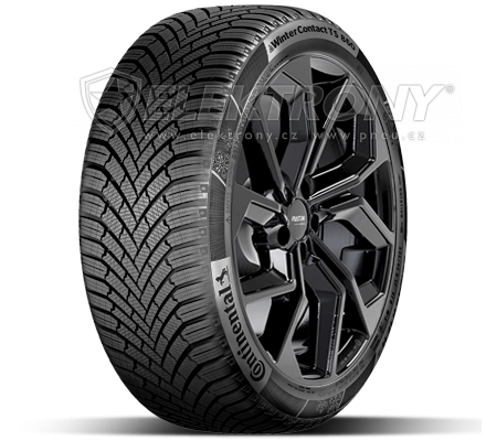 Pneumatiky CONTINENTAL Winter Contact TS 860 195/65 R15 91T