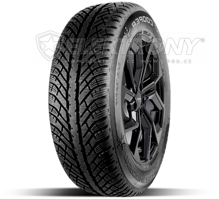 Pneumatiky Cooper Discoverer Winter 275/40 R20 106V