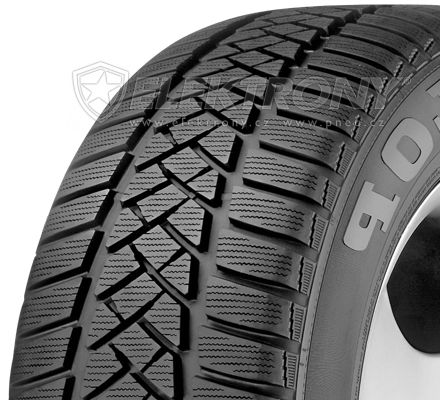 Pneumatiky DUNLOP Grandtrek WT M3 275/55 R19 111H