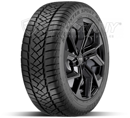 Pneumatiky Dunlop SP Winter Sport M2