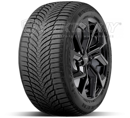 Pneumatiky Nexen Winguard Snow G WH2 205/55 R16 91H