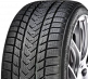 Gripmax Sure Grip Ewinter 205/50 R17 93V