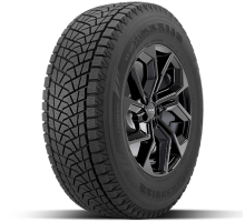 Bridgestone Blizzak DM-Z3