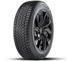 Bridgestone Blizzak LM-80 Evo