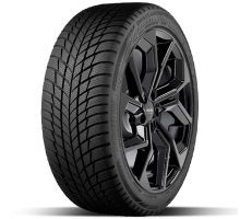 BRIDGESTONE Drive Guard Winter