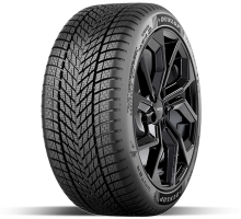 DUNLOP Winter
