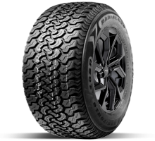Leao Radial620